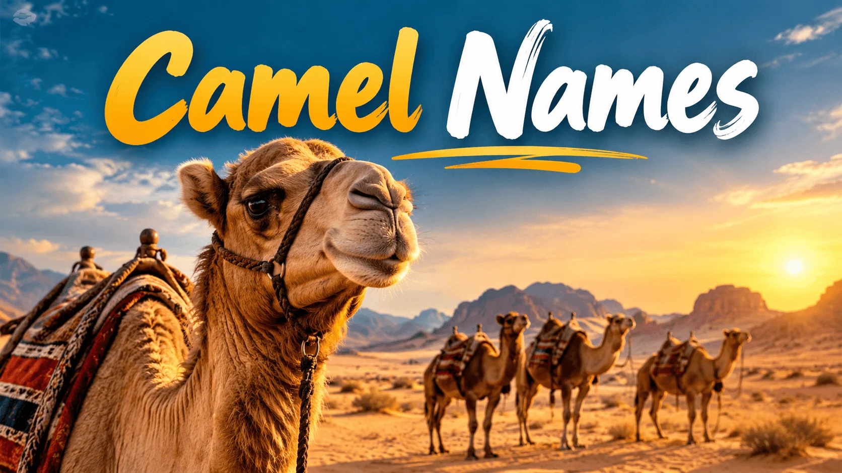 500+ Amazing Camel Names With Name Generator